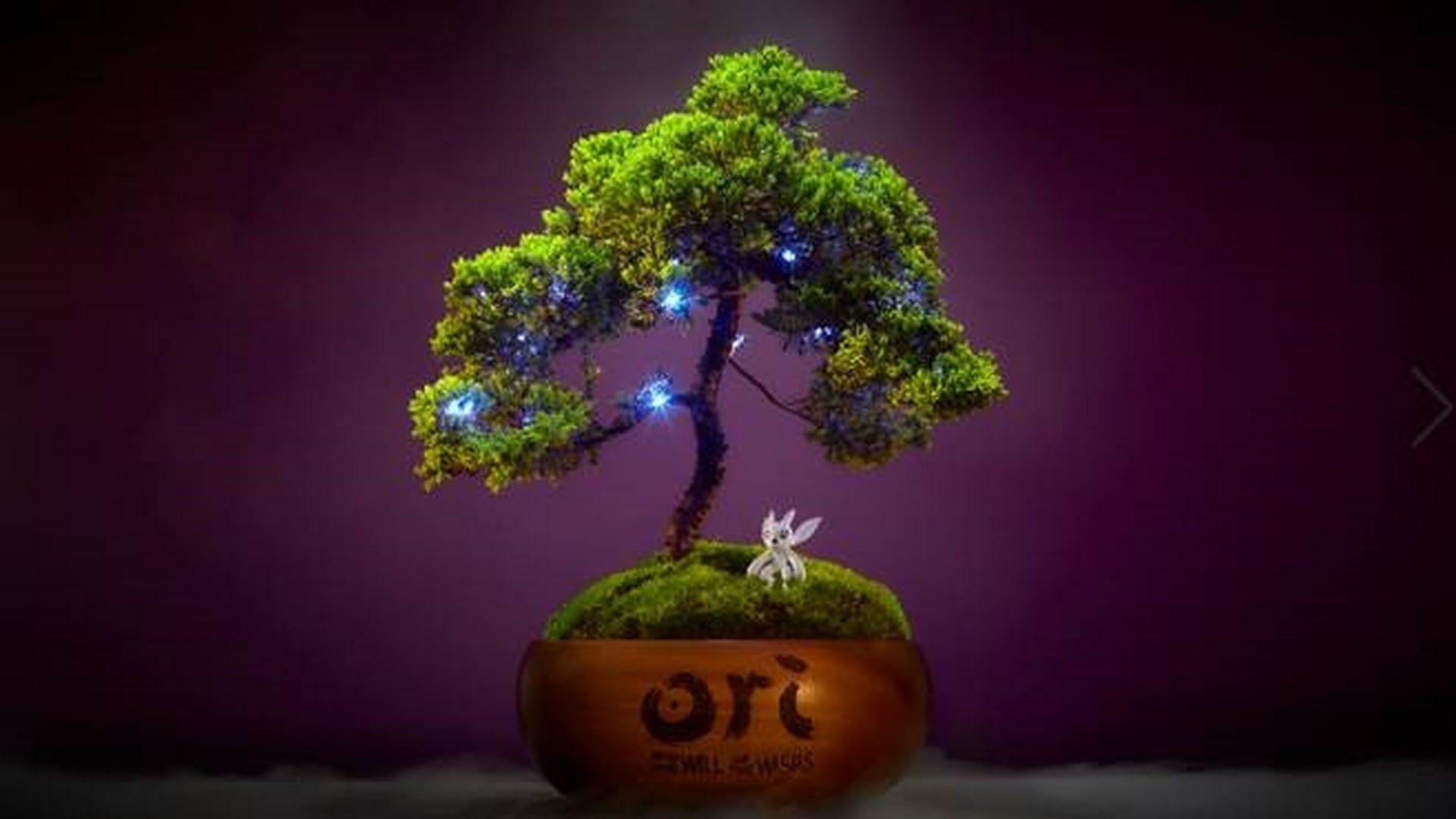 Xbox Enchants Ori Fans With Real Life Bonsai Spirit Trees Bringing The