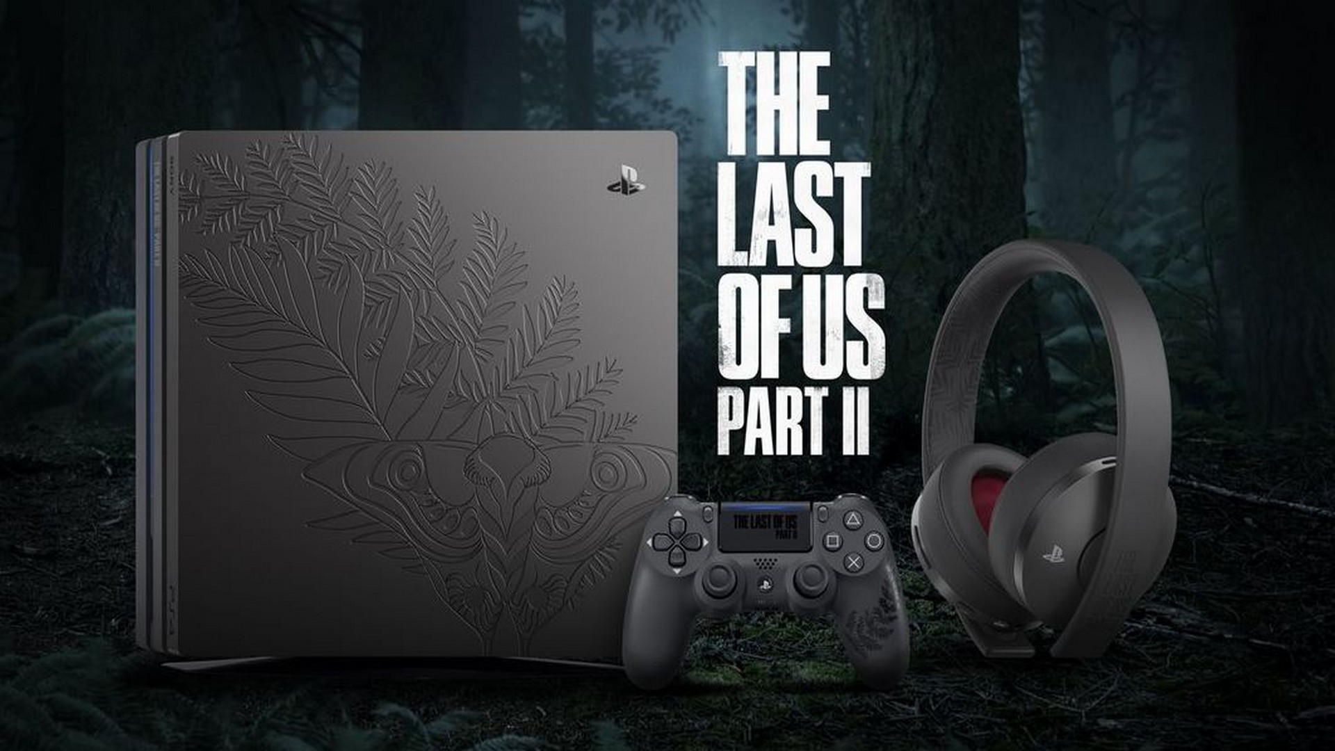  The Last of Us Part II - PlayStation 4 Collector's