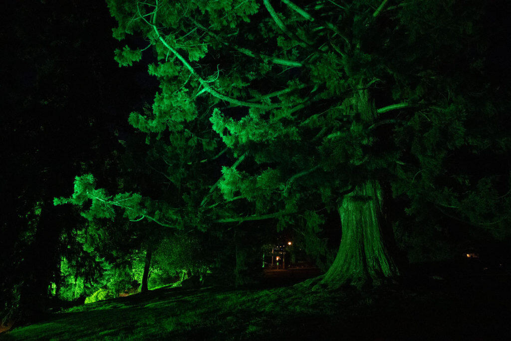 Xbox ANZ Transforms Queenstown Into ‘Greenstown’ 15 Greenstown 4 https://www.mkaugaming.com/xbox-anz-transforms-queenstown-into-greenstown/