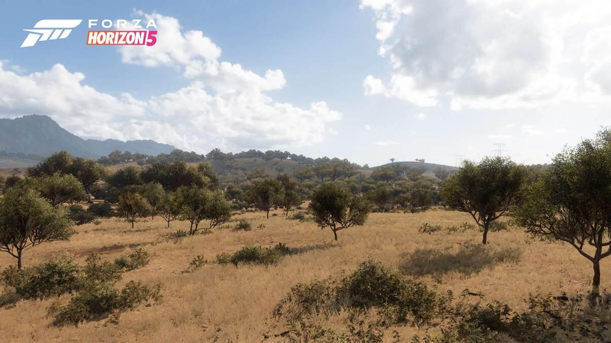 From A Living Desert To A Volcano’s Peak: Exploring Forza Horizon 5’s Biomes and Seasons 2 image0efaefafaf03 https://www.mkaugaming.com/from-a-living-desert-to-a-volcanos-peak-exploring-forza-horizon-5s-biomes-and-seasons/