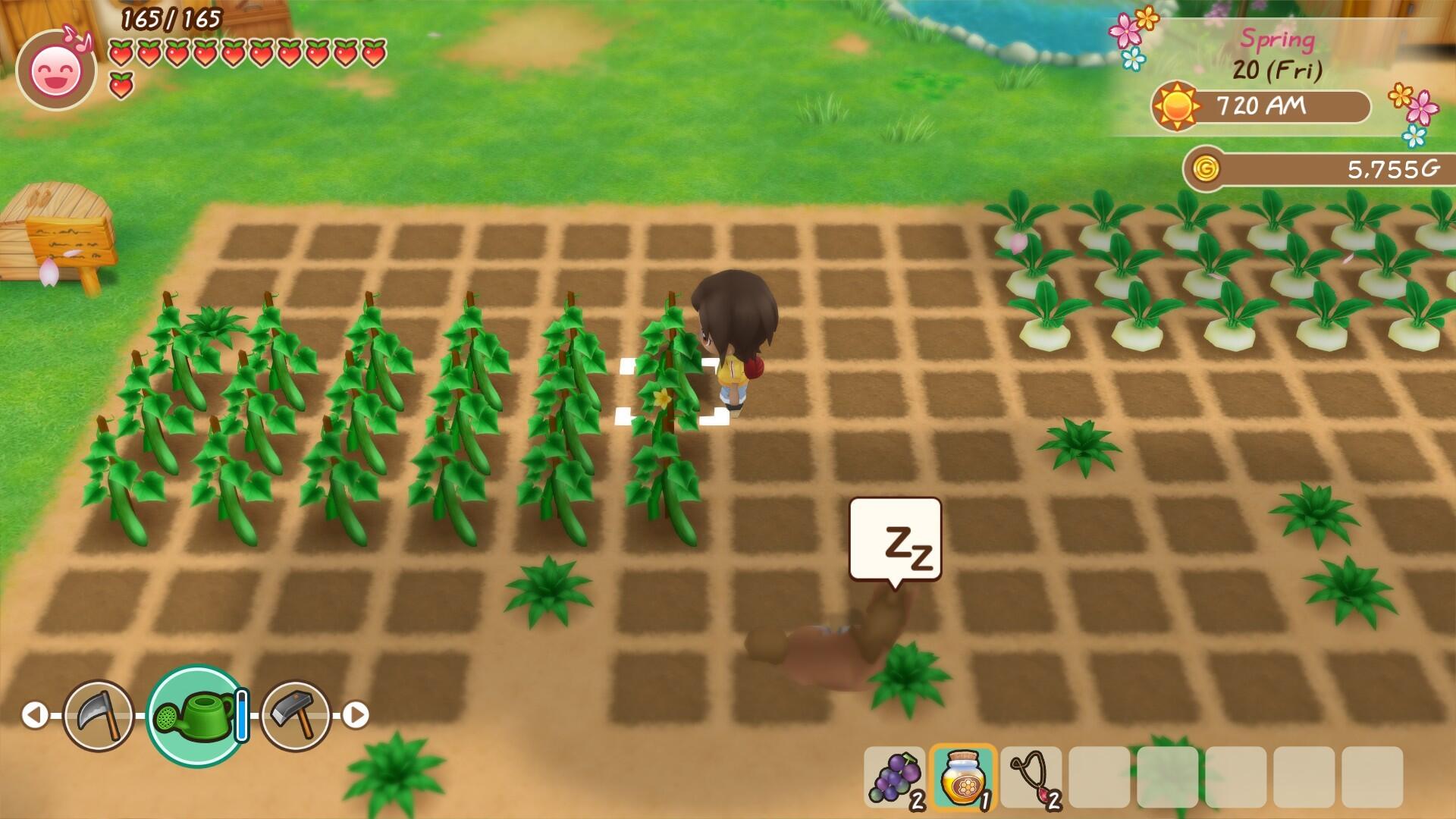 Story Of Seasons: Friends Of Mineral Town (Playstation) - Review 1 https://www.mkaugaming.com/all-review-list/story-of-seasons-friends-of-mineral-town-playstation-review/