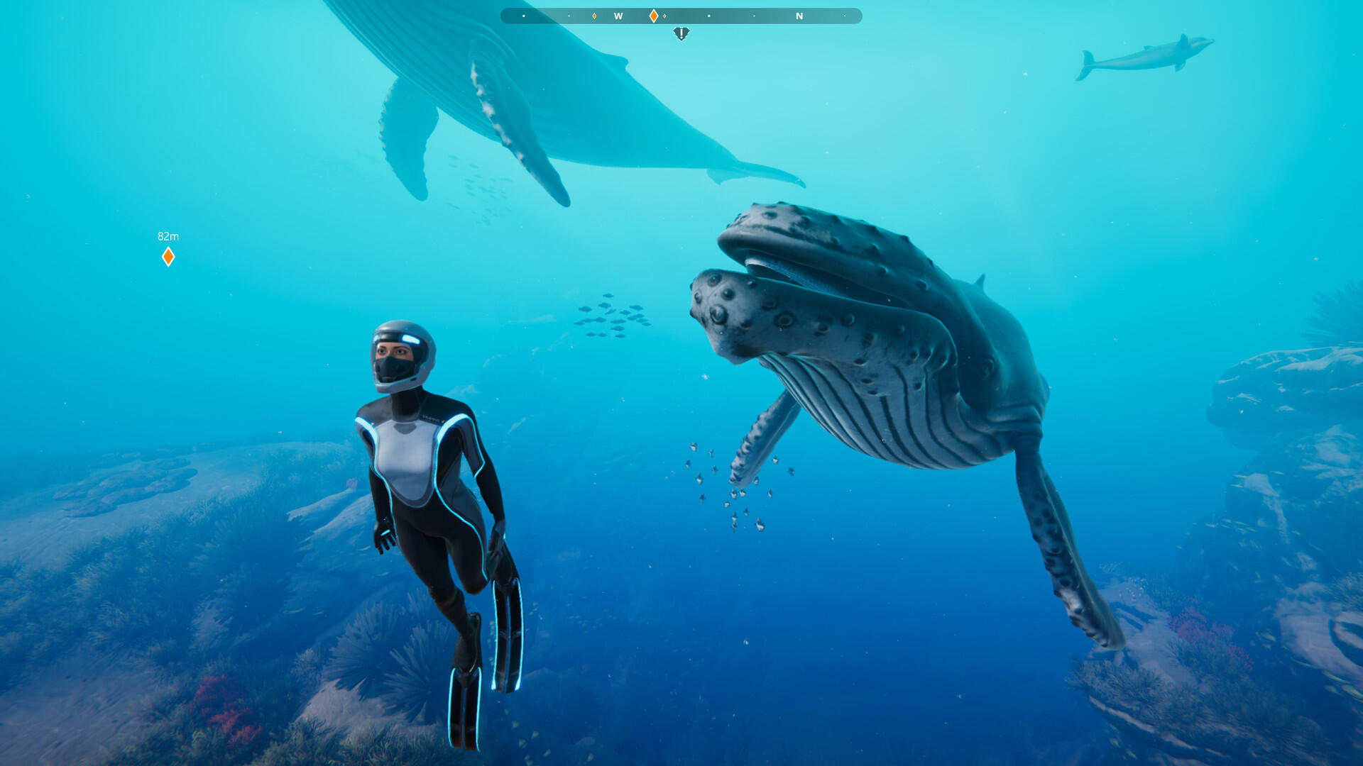 Beyond Blue (Nintendo Switch) - Review 2 https://www.mkaugaming.com/all-review-list/beyond-blue-nintendo-switch-review/