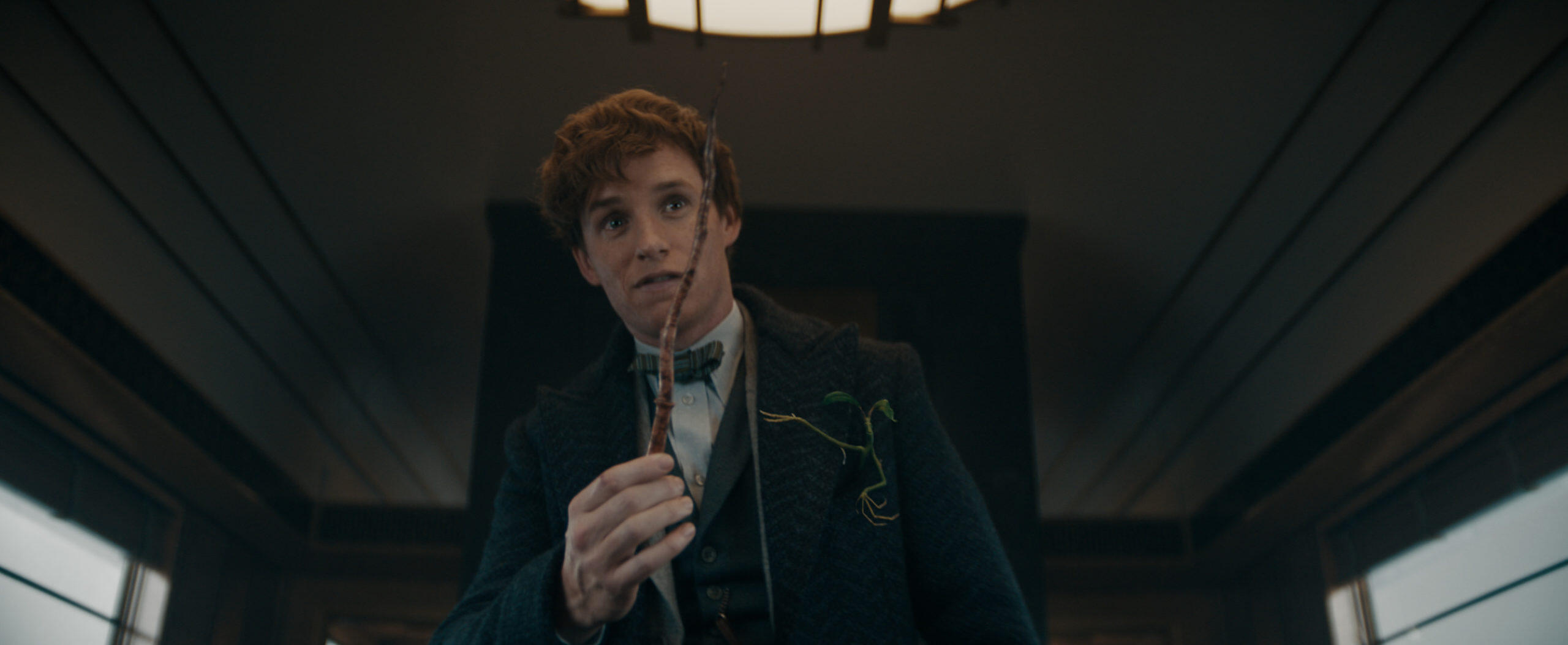 Fantastic Beasts: The Secrets of Dumbledore - Review 2 rev 1 FB3 TRLR 0042 High Res JPEG scaled https://www.mkaugaming.com/all-review-list/fantastic-beasts-the-secrets-of-dumbledore-review/