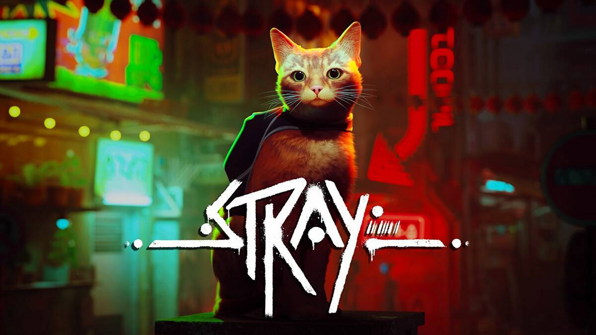 Stray Xbox Physical Edition Pre-Orders Are Now Live