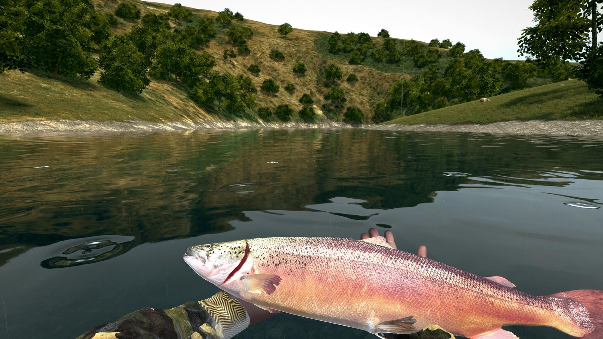 Ultimate Fishing Simulator: Florida DLC (Steam) - Review 3 https://www.mkaugaming.com/all-review-list/ultimate-fishing-simulator-florida-dlc-steam-review/