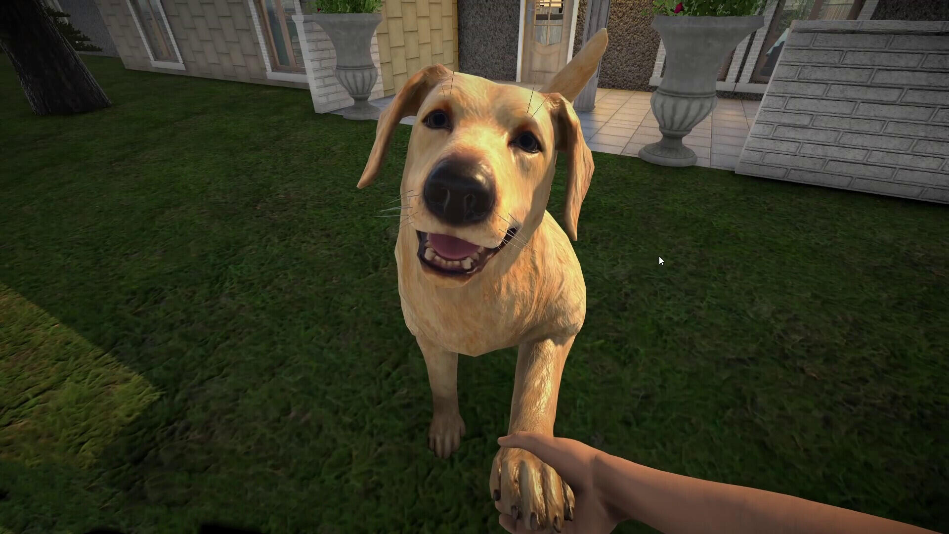 Pets Hotel (Xbox Series X) - Review 2 https://www.mkaugaming.com/all-review-list/pets-hotel-xbox-series-x-review/