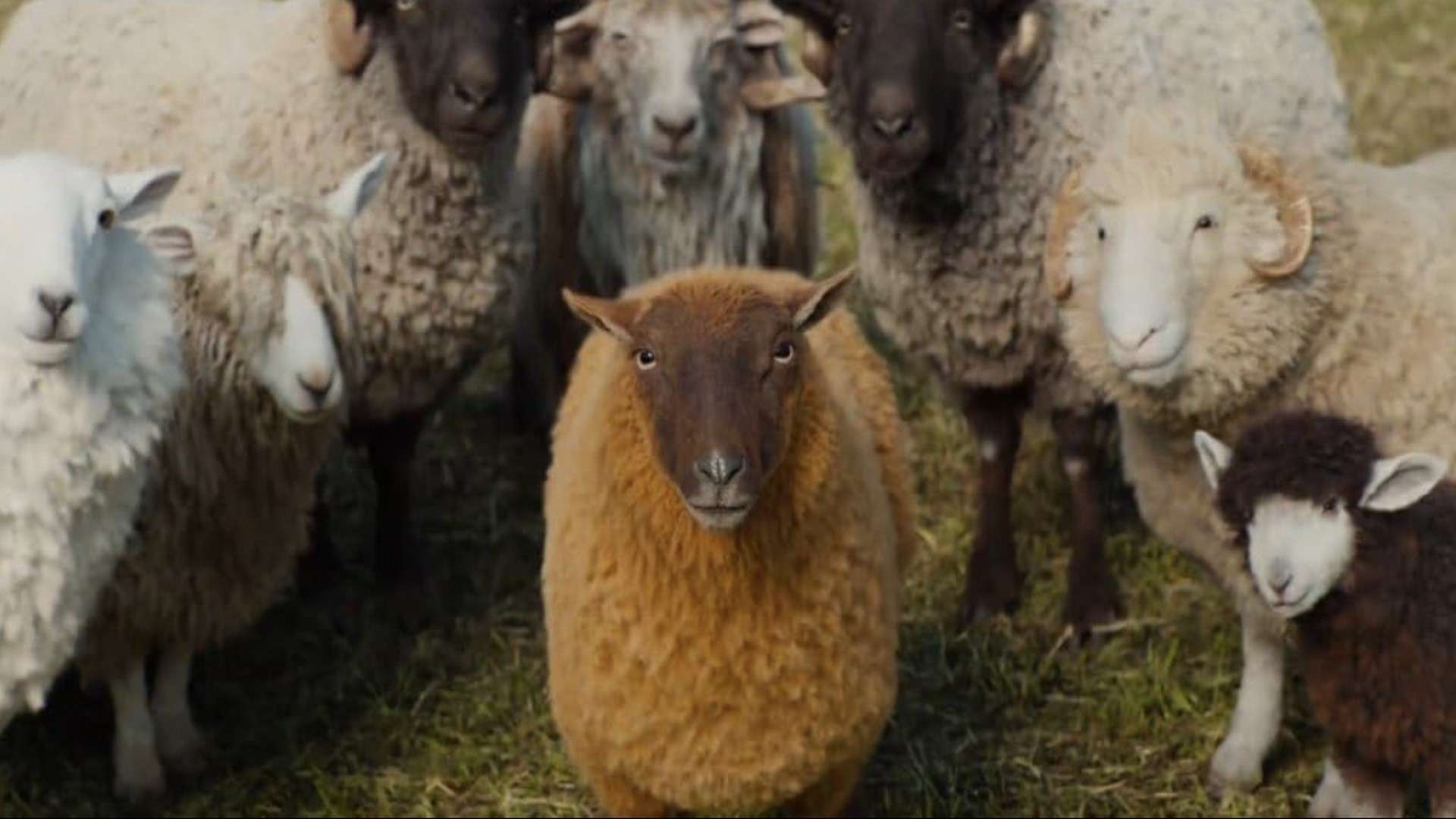 The Sheep Detectives (Movie) - Review 3 SD1 https://www.mkaugaming.com/all-review-list/the-sheep-detectives-movie-review/