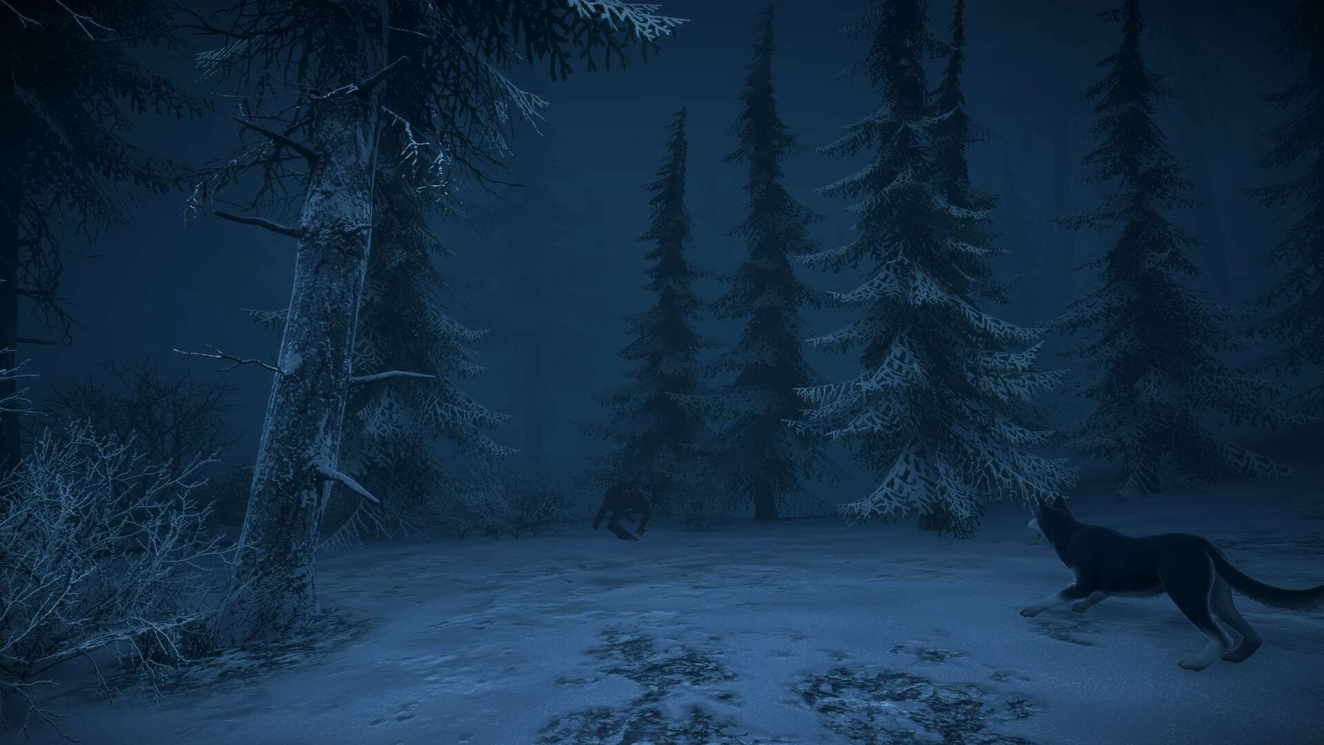 Steam Next Fest June 2026 (Steam) - Preview 11 Pale https://www.mkaugaming.com/all-review-list/steam-next-fest-june-2026-steam-preview/